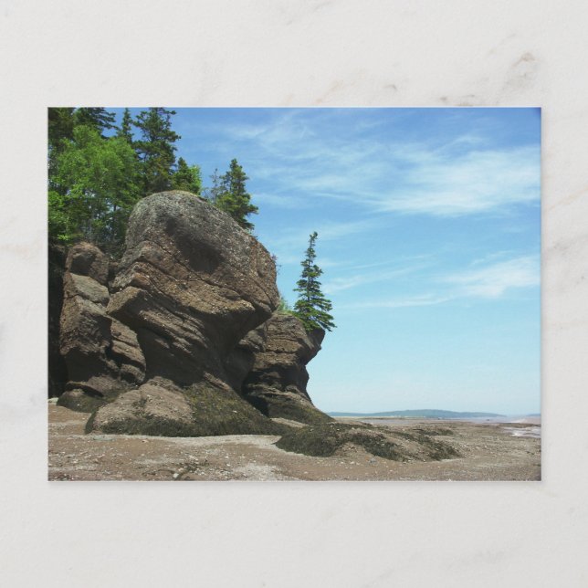 Hopewell Rocks Postkarte (Vorderseite)