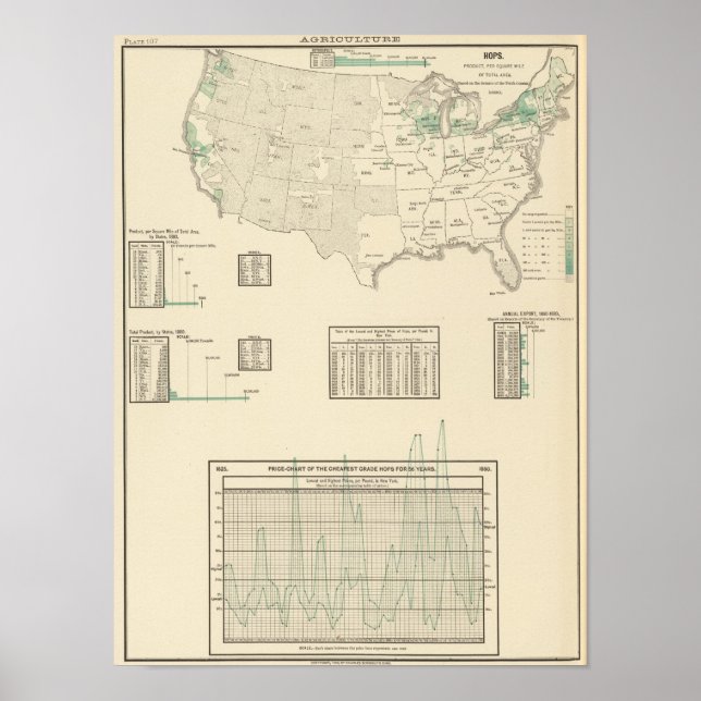Hopfen Poster (Vorne)
