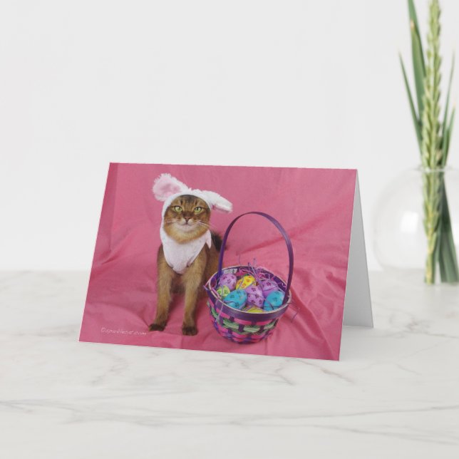 Hopfenreiche somalische Katze Ostern Feiertagskarte (Vorderseite)