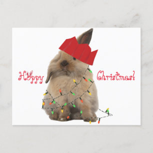 Hopfenreiche Weihnachtshäschen-Postkarte Feiertagspostkarte
