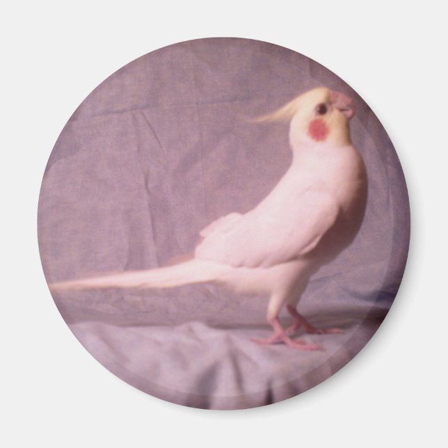 HOPPER-Magnet Magnet (Vorne)