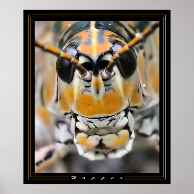 Hopper Poster (Vorne)