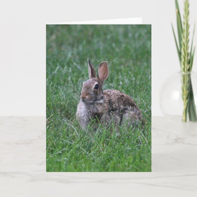Hopping Karte (Vorderseite)