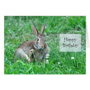 Hoppy Birthday Framework Card