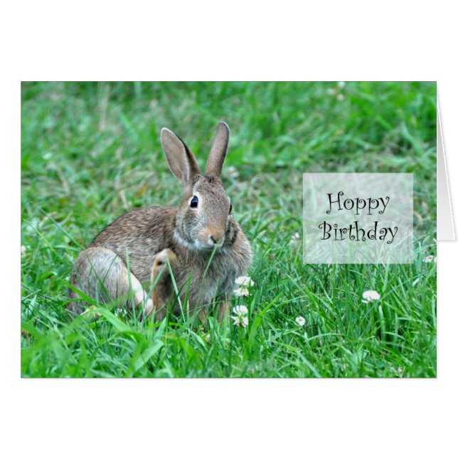 Hoppy Birthday Framework Card (Vorderseite (Horizontal))