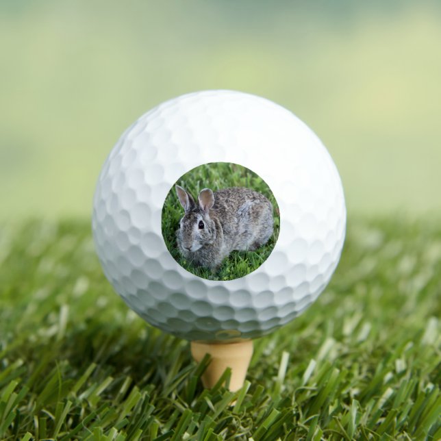 Hoppy Bunny Golfball (Insitu T-Shirt)