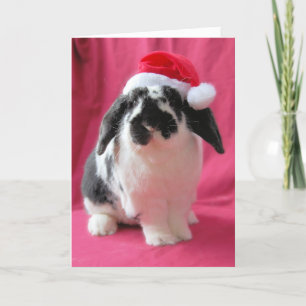 Hoppy Holidays Urlaubskarte Feiertagskarte