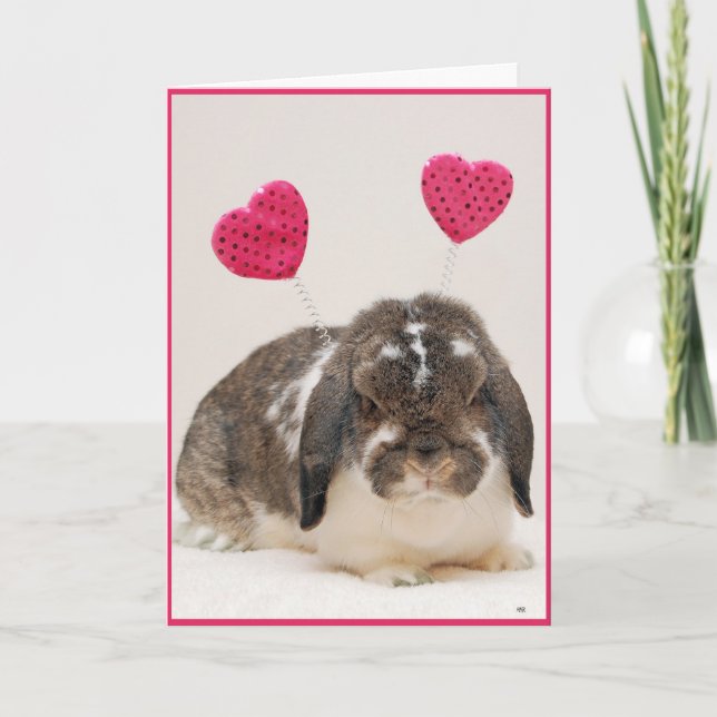 Hoppy Valentine's Day Holiday Card Feiertagskarte (Vorderseite)