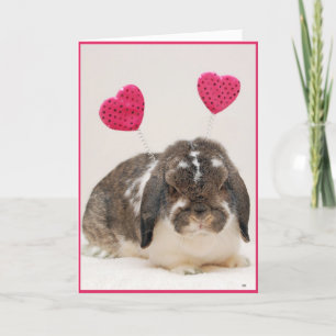 Hoppy Valentine's Day Holiday Card Feiertagskarte