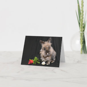 Hoppy Valentine's Day Holiday Card Feiertagskarte
