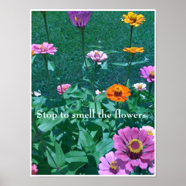 Hör auf, die Blume zu riechen Poster (Vorne)