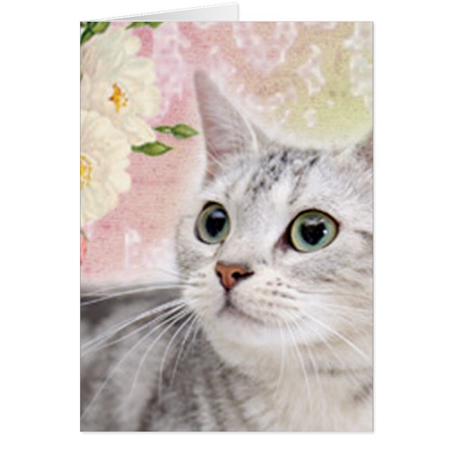 Hör auf, die Rose zu riechen (Vorne)