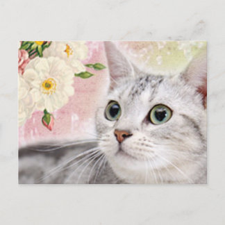 Hör auf, die Rose zu riechen Postkarte