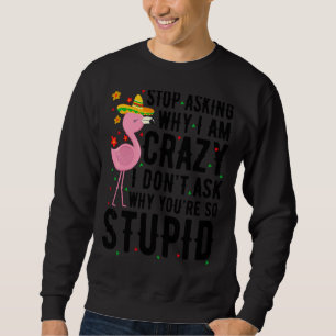 Hör auf Fragen, warum ich Crazy Flamingo Stupid Pi Sweatshirt