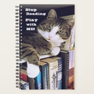 Hör auf zu lesen, spiele mit mir! Cat verlangt Au Planer