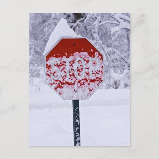 Hör auf zu schneien! postkarte (Vorderseite)