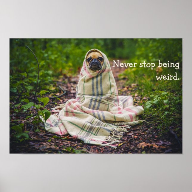 Hör niemals auf, ein komischer Mops in der Blanket Poster (Vorne)