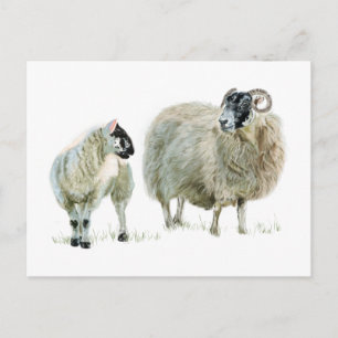 Hören Sie immer auf Ihren Maaa! Postkarte