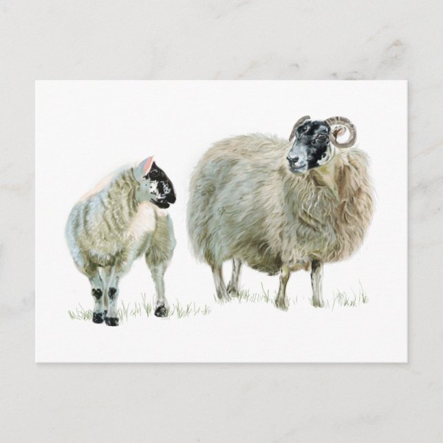 Hören Sie immer auf Ihren Maaa! Postkarte (Vorderseite)