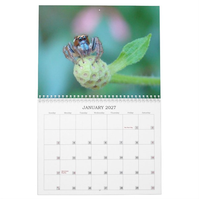 Hören Sie mich ab! Kalender (Jan 2027)