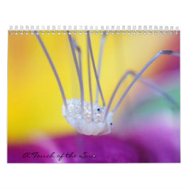 Hören Sie mich ab! Kalender