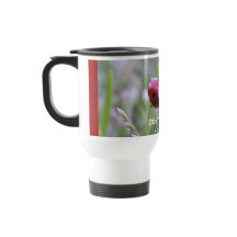 HÖREN SIE MICH NICHT AB!