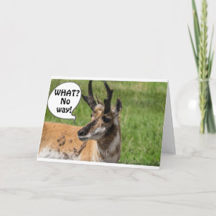 HÖREN SIE VON DER HERDE, DASS SIE **40** WOW SIND KARTE