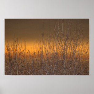 Horizon über Lake Erie Poster