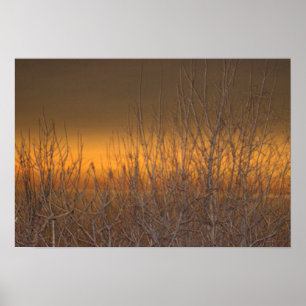 Horizont über das Lake Erie Poster