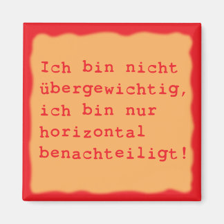 horizontal benachteiligt magnet