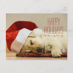 Horizontal image of a two months old Labrador Feiertagspostkarte
