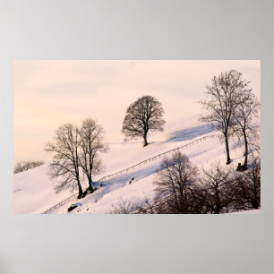 HORIZONTAL POSTER