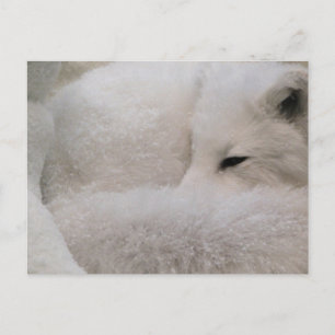 Horizontale Postkarte - Maßgeschneiderte