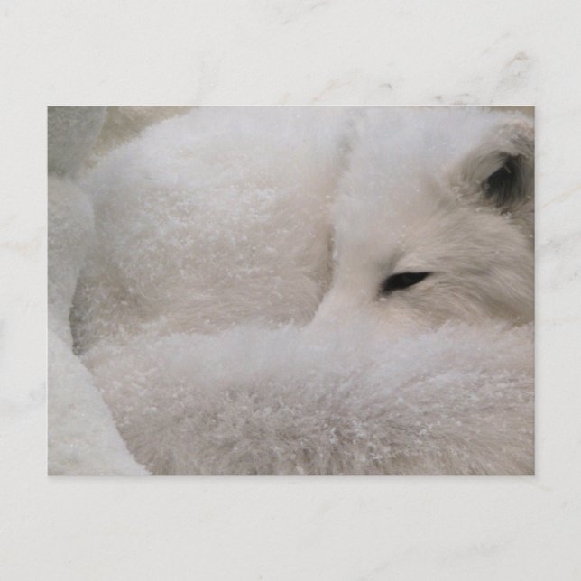 Horizontale Postkarte - Maßgeschneiderte (Vorderseite)