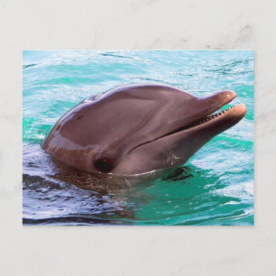 Horizontale Postkarte - Maßgeschneiderte