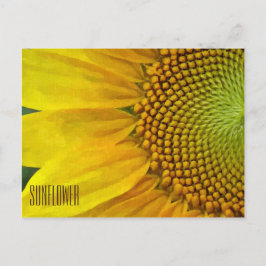 Horizontale Sonnenblume Postkarte