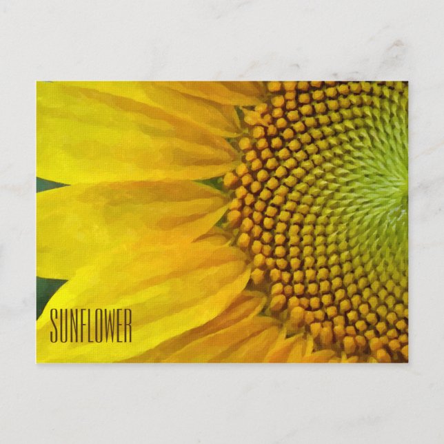 Horizontale Sonnenblume Postkarte (Vorderseite)