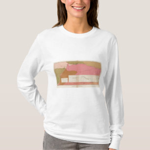 Horizontaler Abschnitt der Comstock Ader Süd T-Shirt