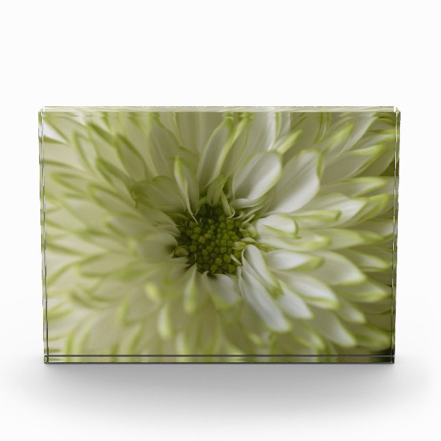 Horizontaler Block Photoblock (Vorderseite)