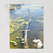 Horizontales Logo des Lake Erie Metropark Turtle L