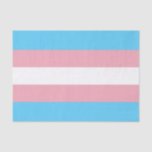 Horizontales Transgender-Pricing-Flag