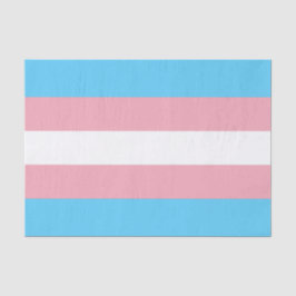 Horizontales Transgender-Pricing-Flag Seidenpapier