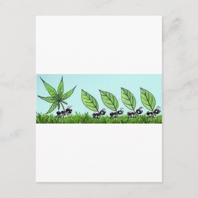 Hormiga colocada postkarte (Vorderseite)