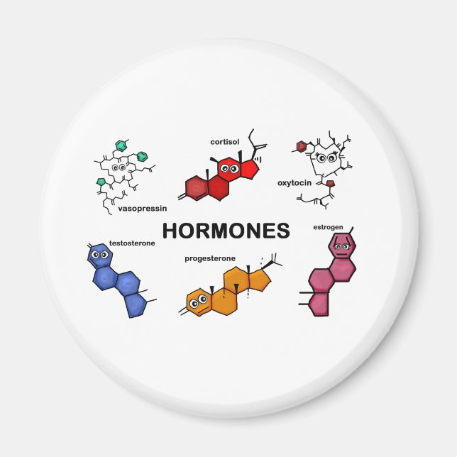 Hormone Magnet (Vorne)