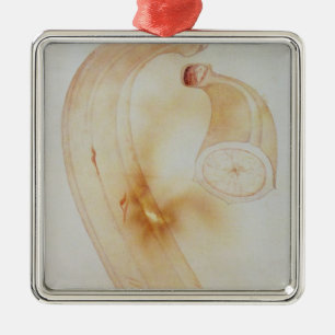 Horn-Banane Silbernes Ornament