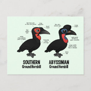 Hornbialstatistik Postkarte