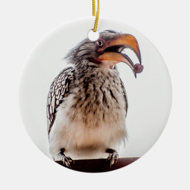 Hornbill mit Saatgut in Mund Keramik Ornament (Vorne)