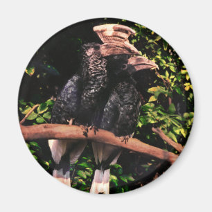 Hornbills in der Liebe Magnet