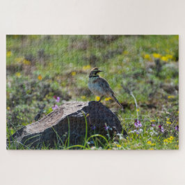 Horned Lark Puzzle