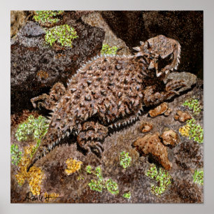 Horned Lizard Print Poster